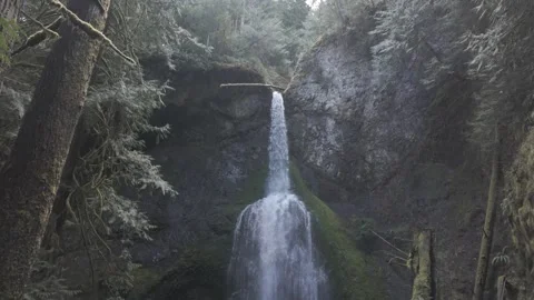 Hidden Forest Waterfall 動画素材 310214996