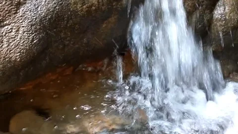 Hidden Forest Waterfall Stock Footage 340016938