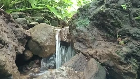 Hidden Forest Waterfall – Natural Cascade in Lush Green Jungle Stock Footage 329780127