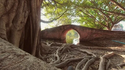 Hidden gem in Ayutthaya - arch bridge surrounded by beautiful nature. Thail.. Stock Footage 281435005