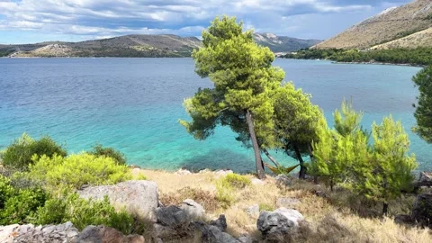 Hidden Hammock Overlooking Azure Waters: Serene Coastal Landscape Featuring Stock Footage 319345090