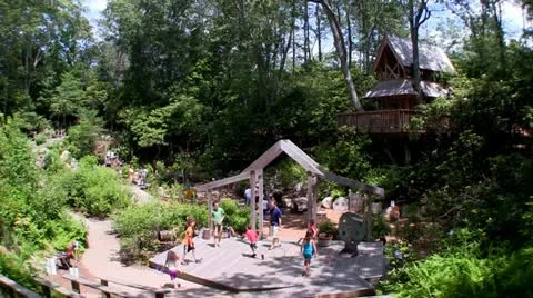 Hidden Hollow Stock Footage 12250485