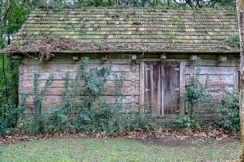 A hidden home in the forest Stock Photos