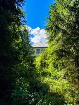Hidden House in the Forest Stock Photos