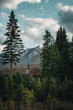 A hidden house in a forest Stock Photos