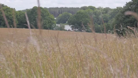 Hidden lake 1 Vídeos de archivo 132747685