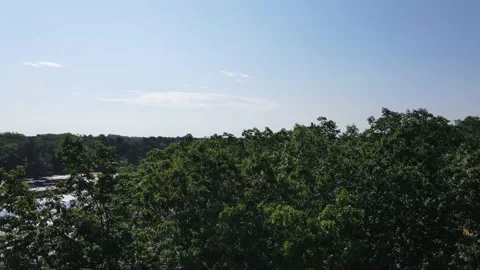 Hidden lake in the forest Vídeo Stock 133433247