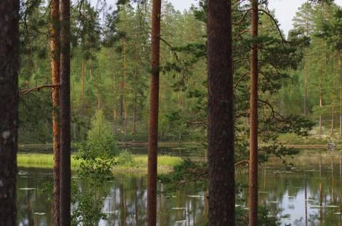 Hidden lake Stock Photos