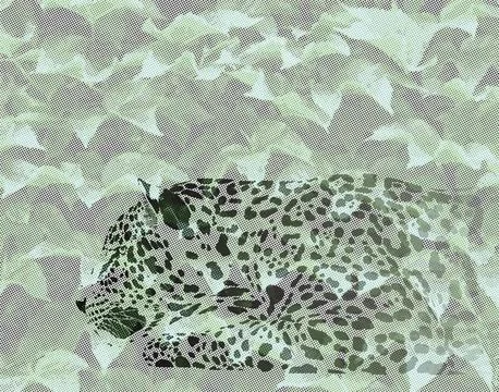 Hidden leopard Stock Illustration