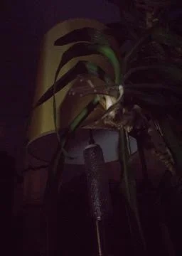 Hidden light Stockfoto's