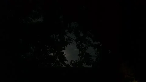 Hidden Moon Footage Video stock 247375493