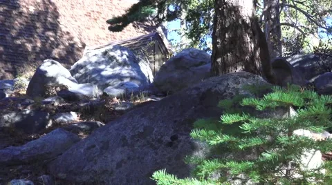 Hidden mountain cabin in mountains Stock Footage 42879220