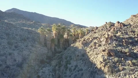 Hidden Oasis in the Desert Stock Footage 301181456