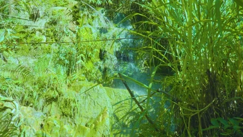 Hidden Oasis: Waterfall Enveloped by Lush Greenery Stock Footage 282081837