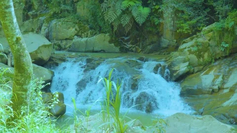 Hidden Oasis: Waterfall in a Verdant Forest Sanctuary Stock Footage 282081417