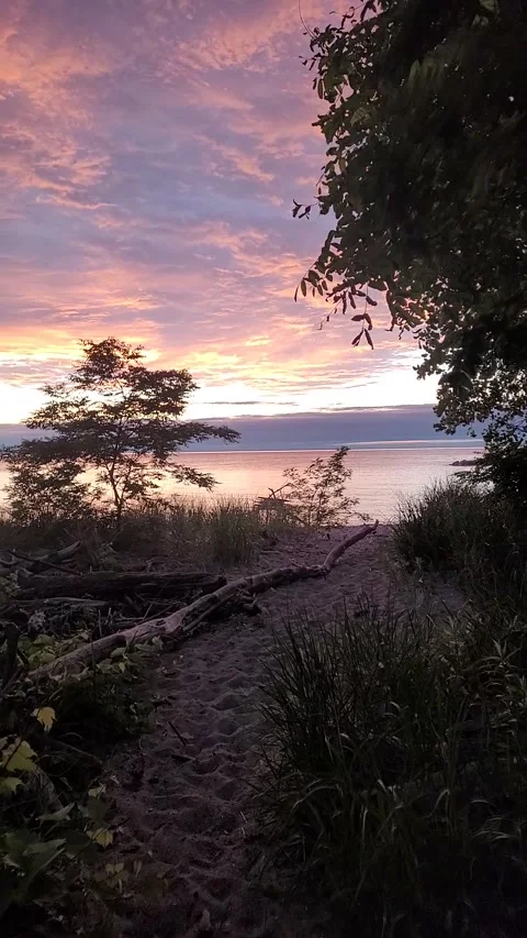 Hidden Paradise Video stock 261497910