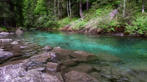 A hidden paradise in the mountains, let's discover the alpine stream with tu 動画素材 243558728