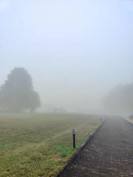 Hidden path in the fog with tree Stock Photos