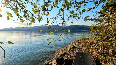 Hidden path on the shore of Lake Maggiore Stock Footage 316761561