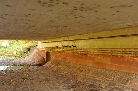 Hidden pathway beneath city structures, Serene alleyway with mosscovered st.. Stock Photos