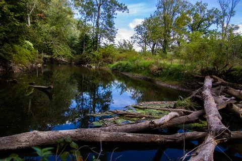 A hidden river in the middle of the forest. Stock Photos