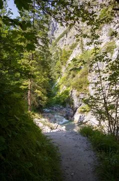 Hidden River Path Stock Photos