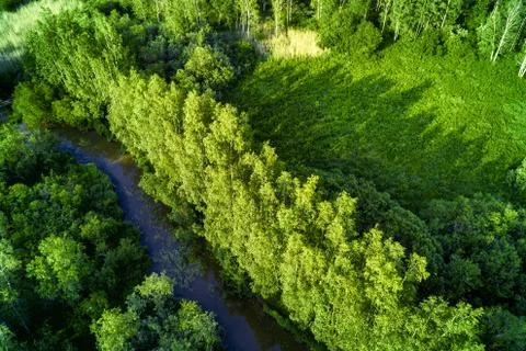 Hidden river valley in the deep forest aerial Foto stock