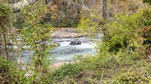 Hidden River View Framed by Green and Autumn Foliage Stock Photos