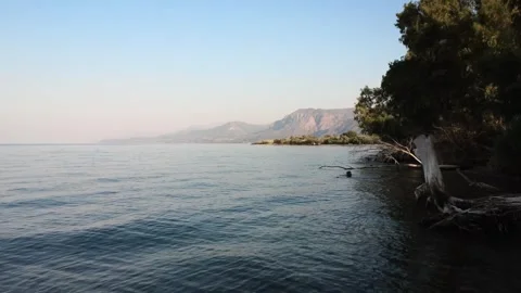 Hidden rocky beach surrounded by Mediterranean forest in Greece Stock Footage 319748880