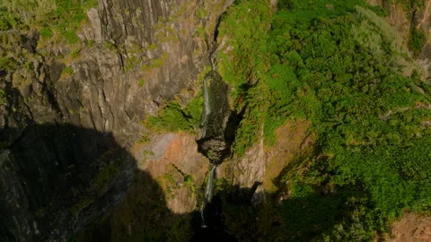 A Hidden Sanctuary Where a Slender Waterfall Cascades into a Deep, Verdant 库存影片 336220191