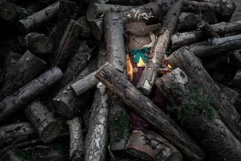 Hidden scarecrow under tree trunks Stock Photos