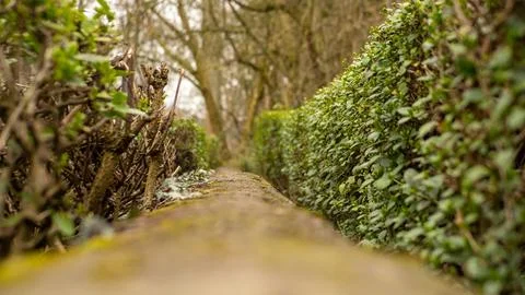 Hidden Secrets Stock Photos