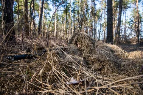 Hidden sniper. Foto stock