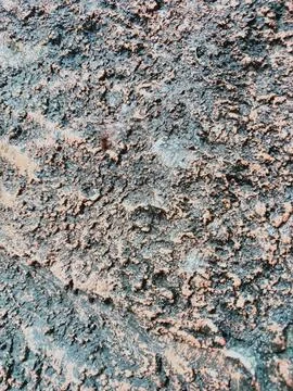 Hidden Spider Stock Photos