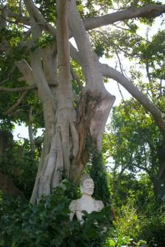 Hidden Statue in the jungle Stock Photos