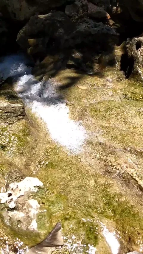 Hidden Stream Stock Footage 331070556