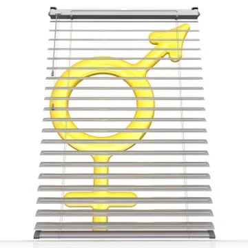 Hidden symbol of bigender Ilustração Stock