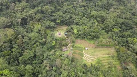 A Hidden Temple Stock Footage 146695283