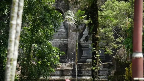 Hidden temple in the jungle 74 Stock Footage 264574218