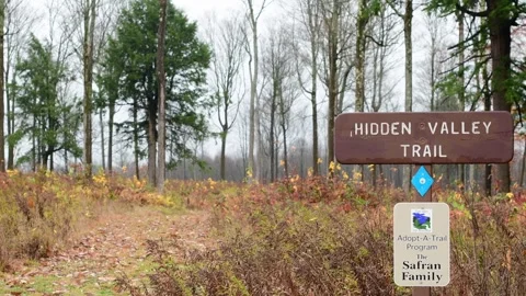 Hidden valley trail fall rain weather wind Stock Footage 254586299