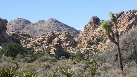 Hidden valley, zoom out time lapse of rock piles in Hidden valley, Joshua t.. Stock Footage 73408938