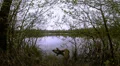 Hidden view of a lake in a nature reserve HD Footage