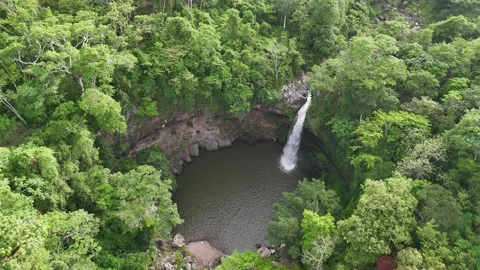 Hidden water fall flows into serene pool in forest Stock Footage 338189166