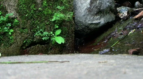 Hidden Water Flow Видео 264240