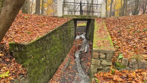 Hidden Water Infrastructure Beneath Autumn Park, Concept of Systems and Stock Footage 344248611