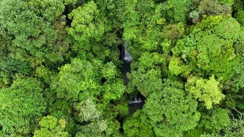 Hidden Waterfall (1) Stock Footage 308986247