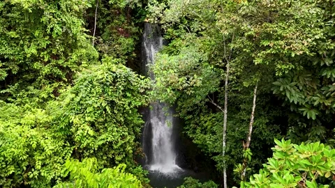 Hidden Waterfall (2) Stock Footage 308986162