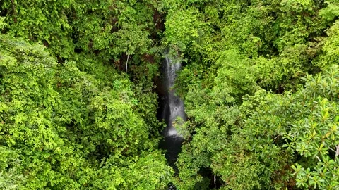 Hidden Waterfall (3) Stock Footage 308986294