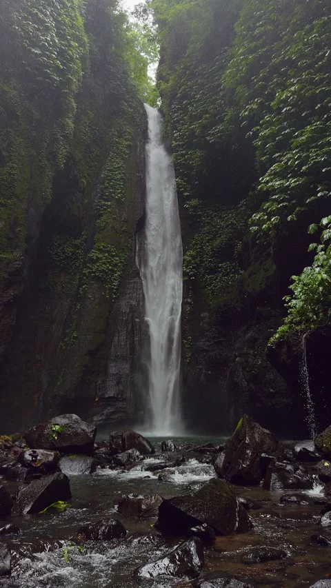 Hidden Waterfall Cascading Into Rocky Pool Between Towering Cliffs Covered With Stock Footage 336804210