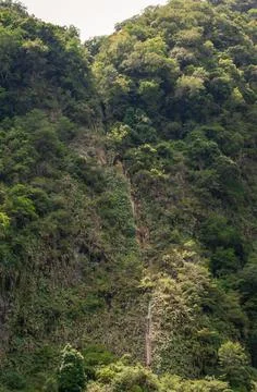 Hidden Waterfall Flowing Down Lush Green Mountainside Covered In Dense Vege.. Stock Photos